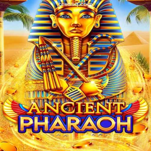 AncientPharaoh: Conquer the Sands with SSSQ.COM Cassino