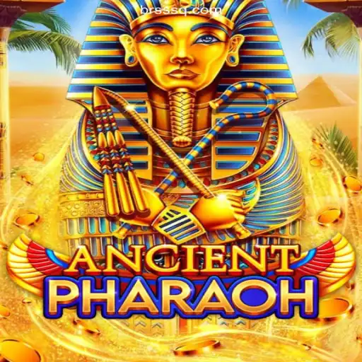 AncientPharaoh: Conquer the Sands with SSSQ.COM Cassino
